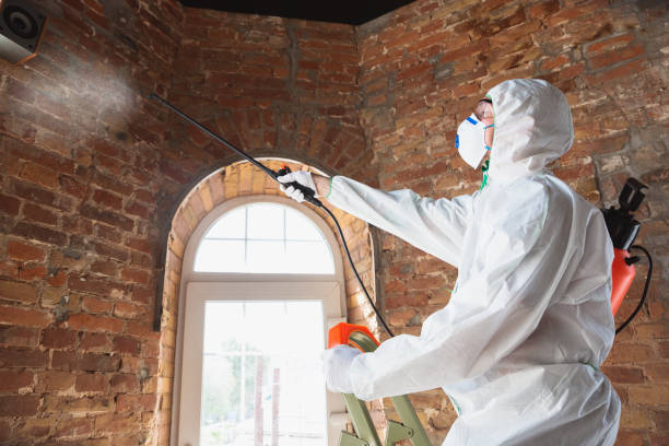 Best Environmental Consulting for Mold Prevention in Myersville, MD